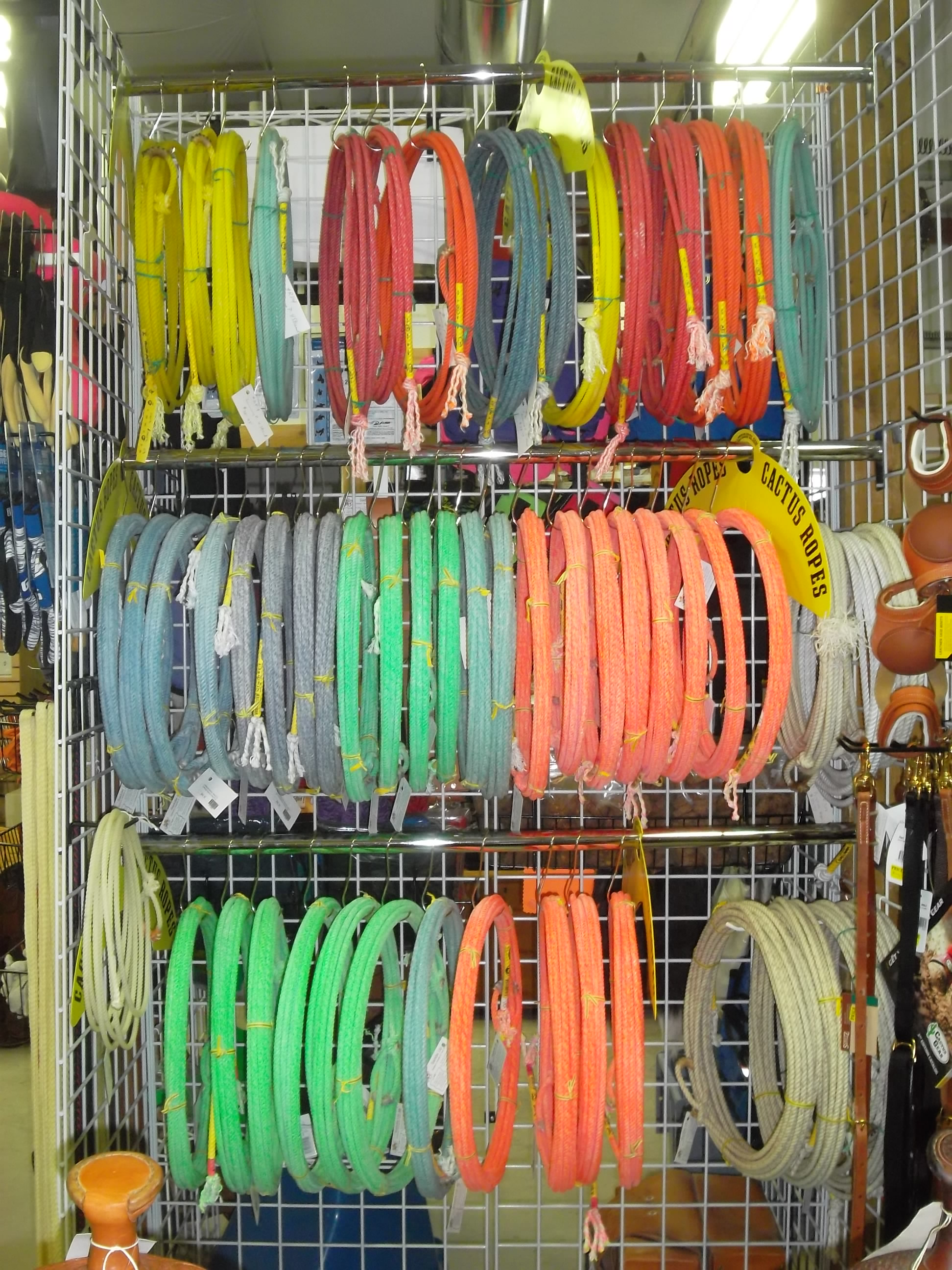 Cactus Ropes saddleupcolorado