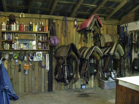 organized tack room